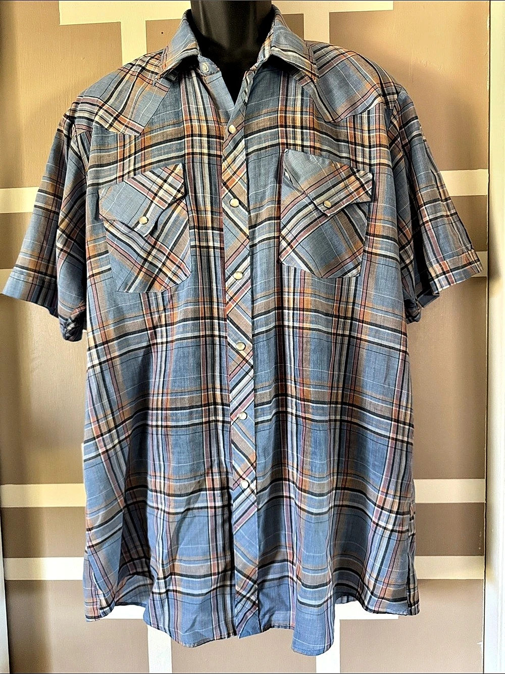Miller Men's Plaid Snap-Front Shirt in Blue & Pink